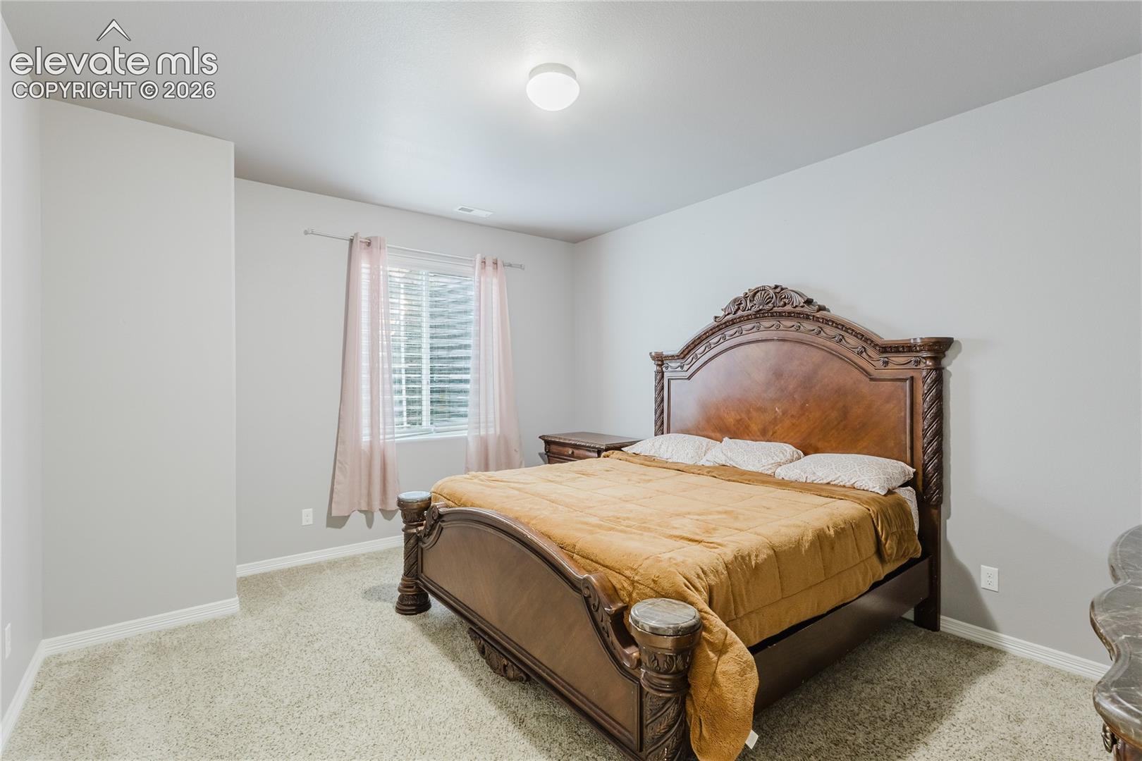 Carpeted room featuring a window with blinds and drapes, light gray walls, and an overhead flush mount light fixture