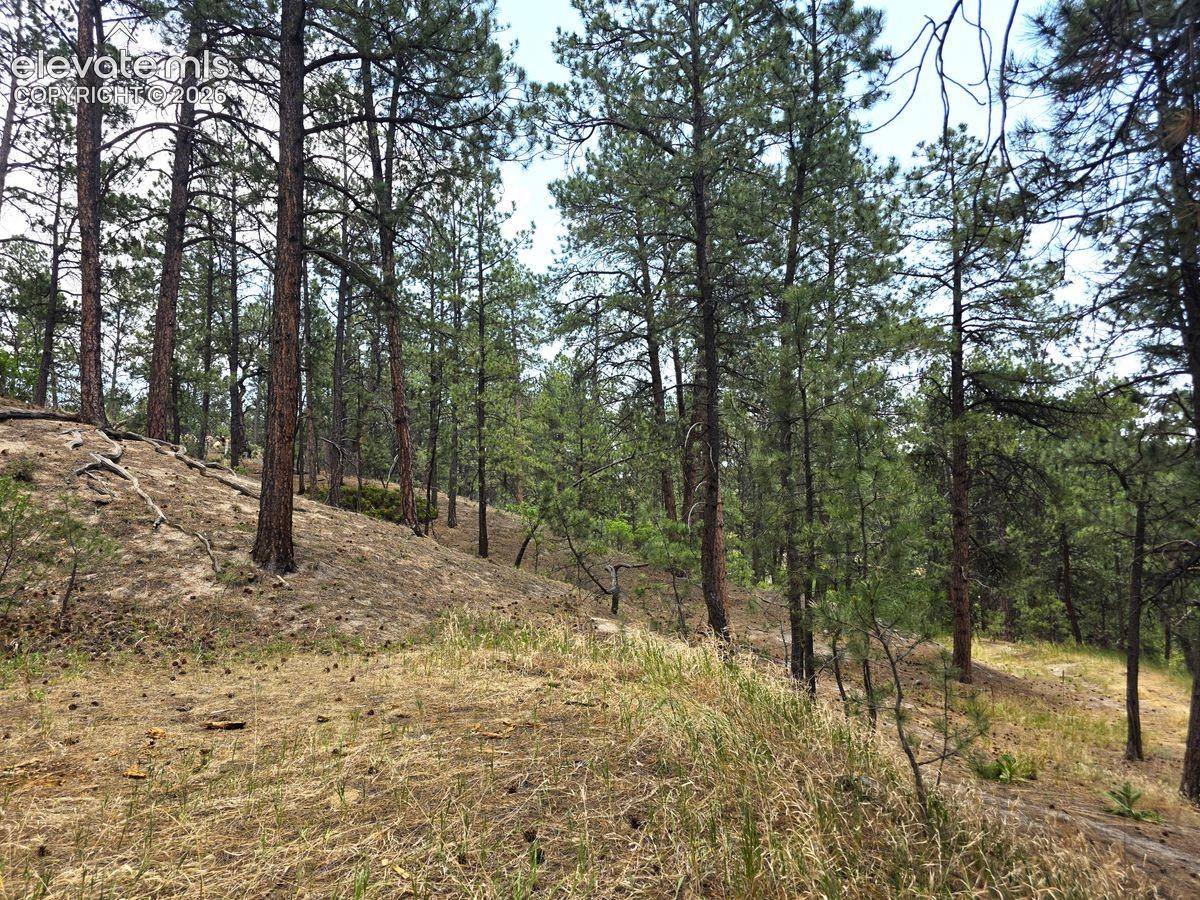 Photo 27 of 4465 Leprechaun Lane, Colorado Springs