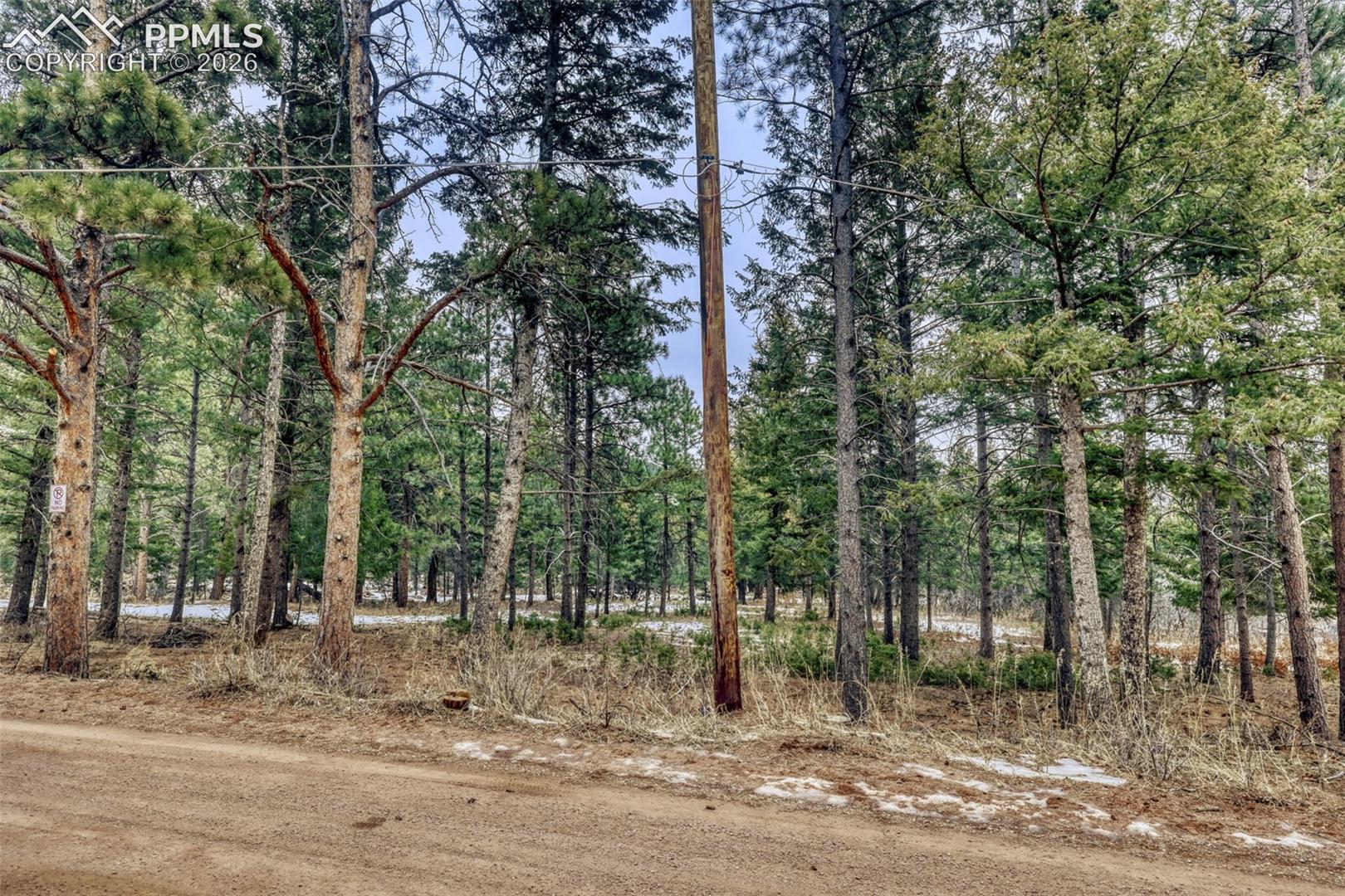 Photo 18 of Rock Ridge Road, Palmer Lake