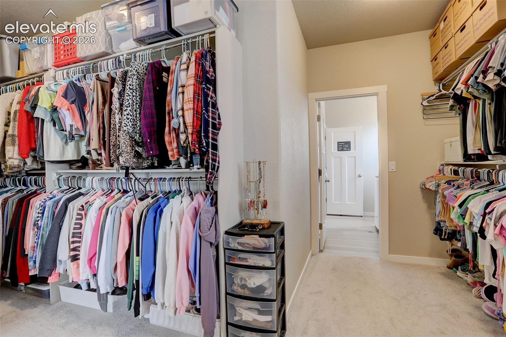 Walk in closet with light carpet