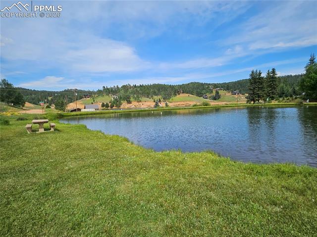 Another Private HOA Community Fishing Pond!