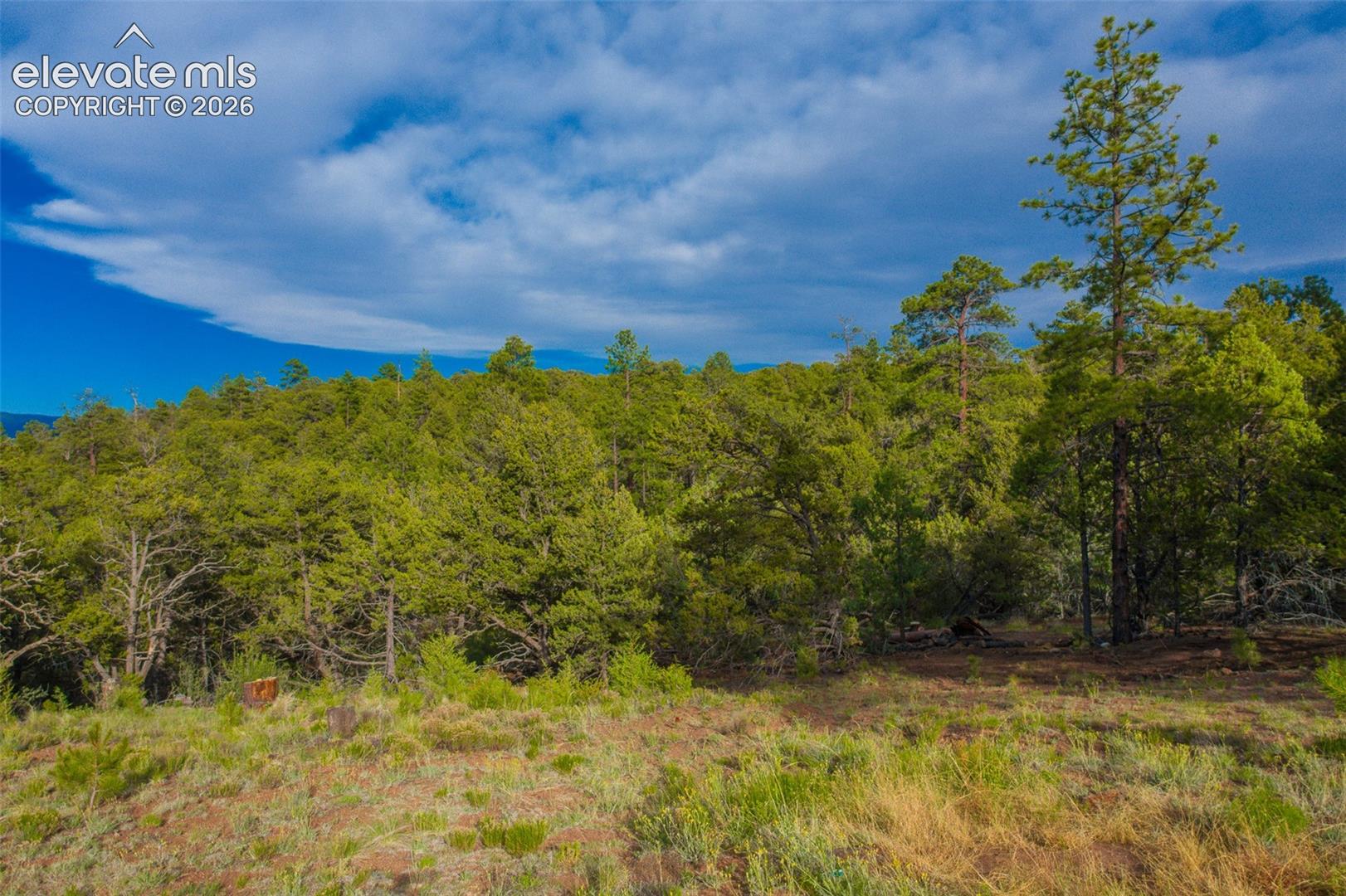 Photo 13 of Lot 3 County Road 634.2, Gardner