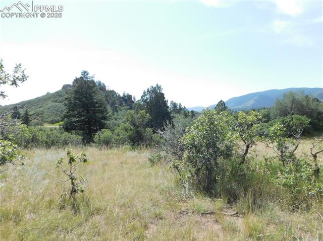 Photo 16 of 5967 Country Club Drive, Larkspur