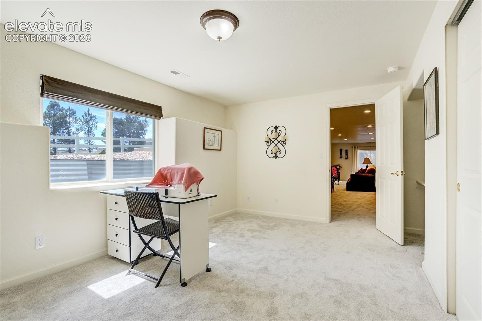 Neutral interior featuring wall-to-wall carpeting, a dual-pane window, and flush-mount lighting
