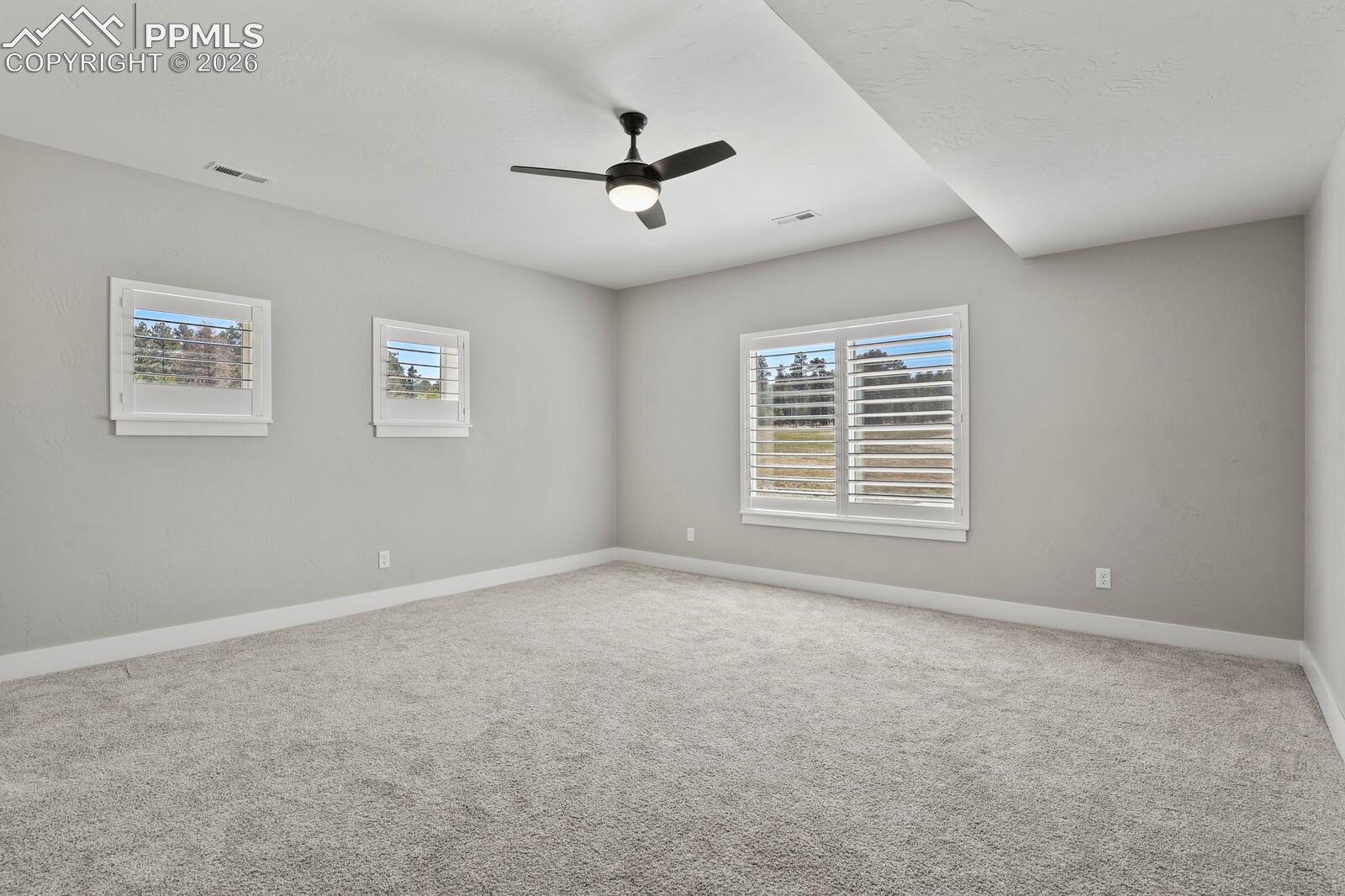2nd Basement Bedroom