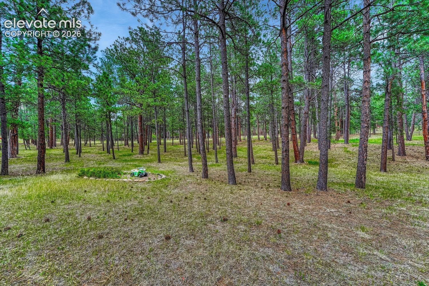 Photo 19 of 14225 Ponderosa Road, Colorado Springs