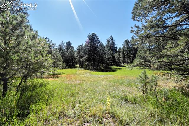Photo 7 of 18400 Black Squirrel Road, Colorado Springs