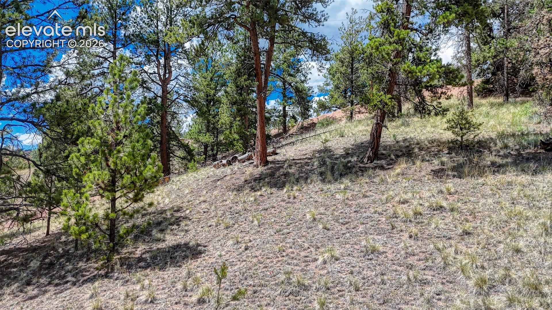Photo 17 of 218 Princess Road, Cripple Creek