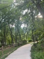 Paved pathway bordered by a wooden split-rail fence and lush, mature trees