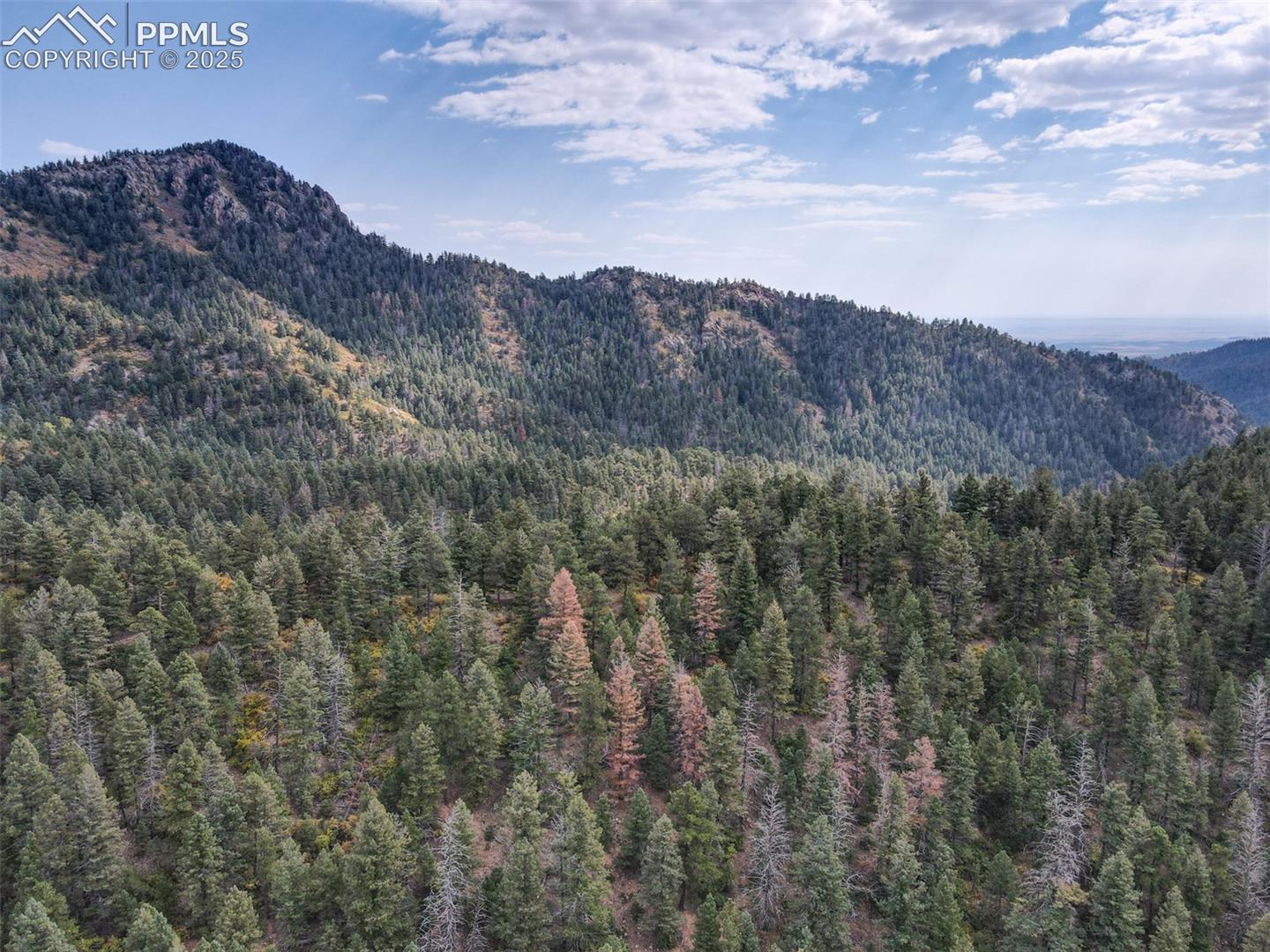 Photo 24 of 4950 Little Turkey Creek Road, Colorado Springs