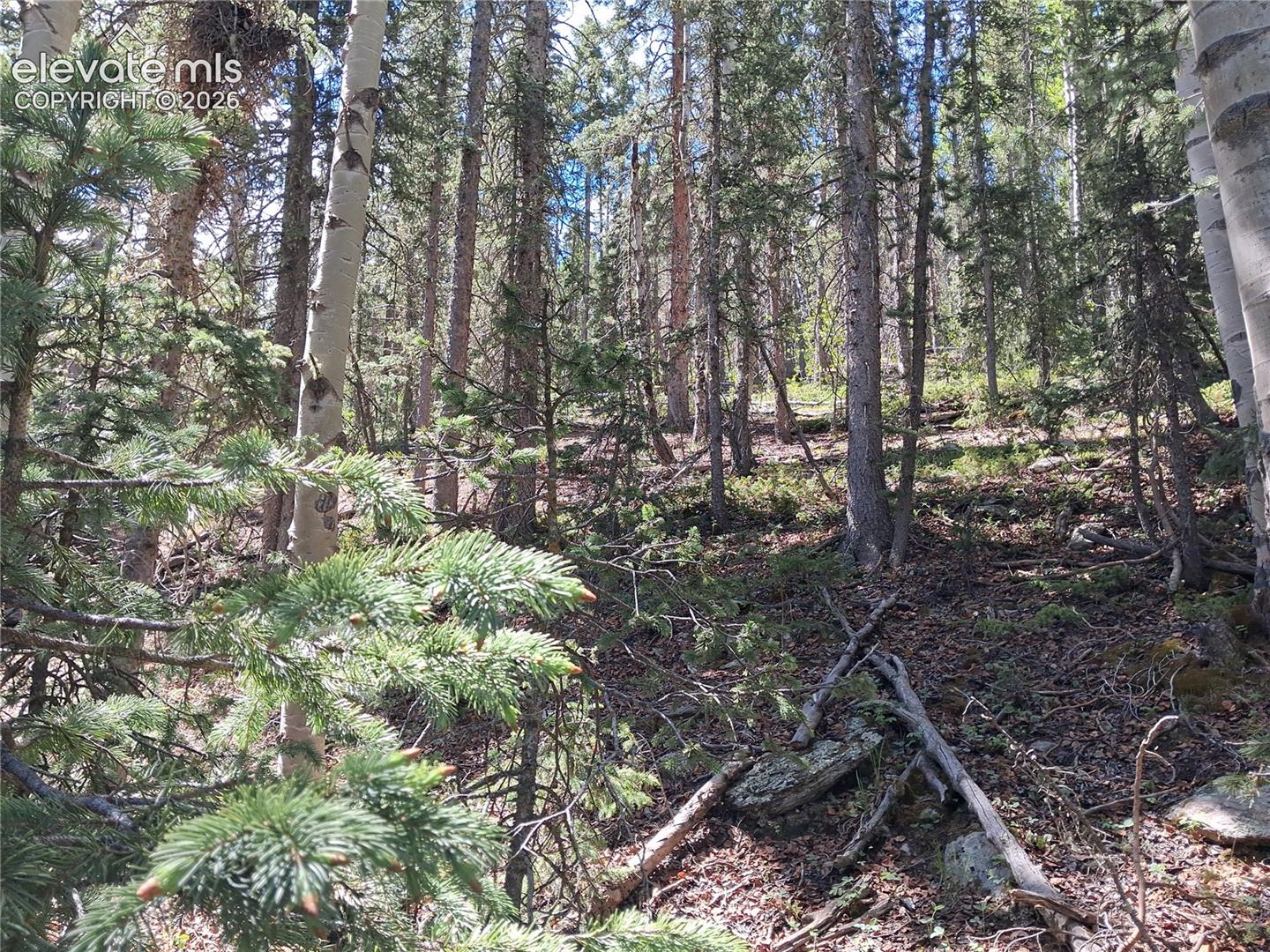2462 Anges Dr, Cripple Creek, CO 80813