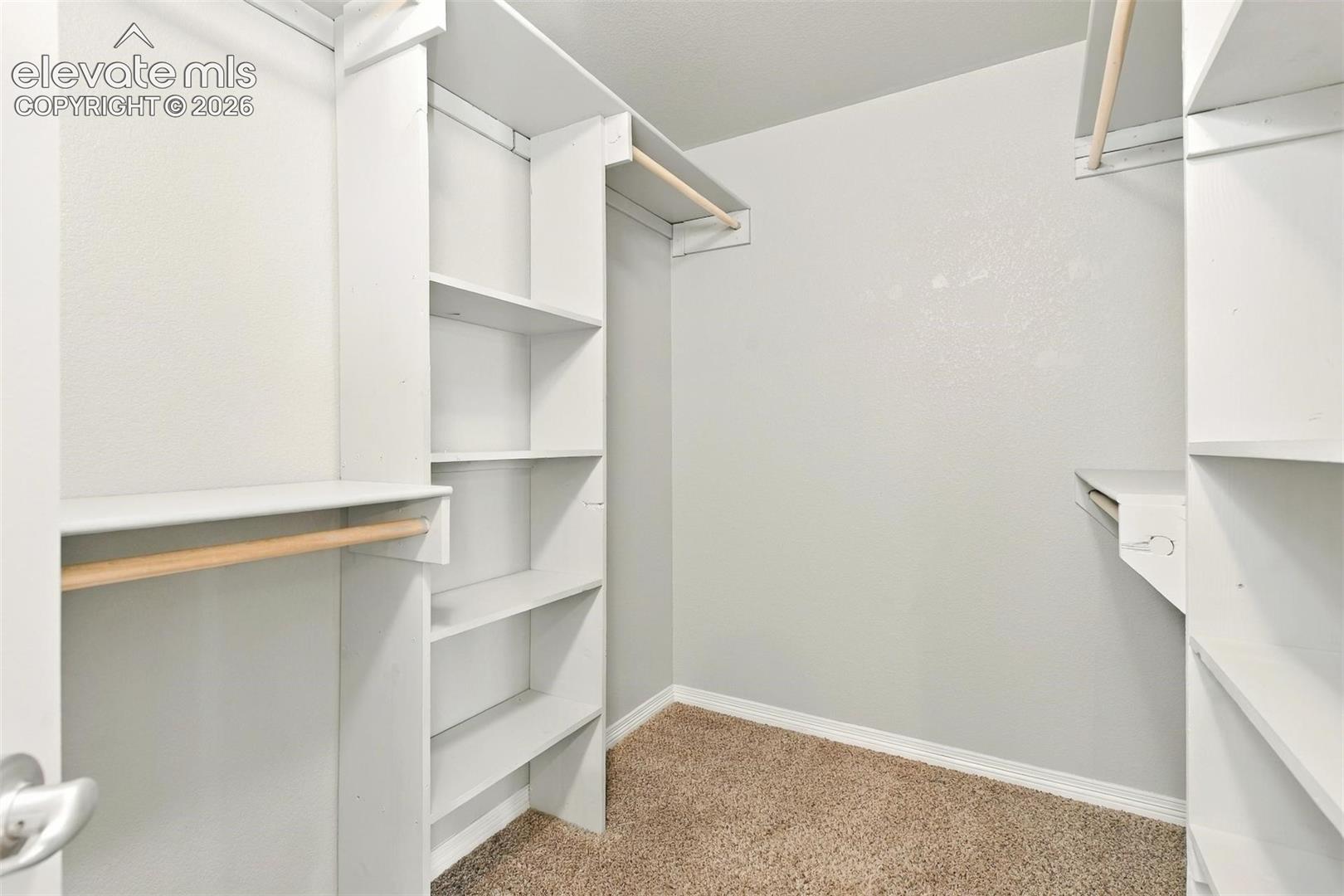 Walk-in closet featuring white built-in shelving units, integrated wooden clothing rods, and wall-to-wall carpeting
