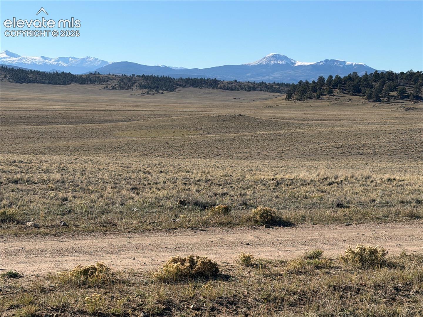 Expansive acreage featuring native grasslands, mature evergreen clusters, and a mountain range backdrop