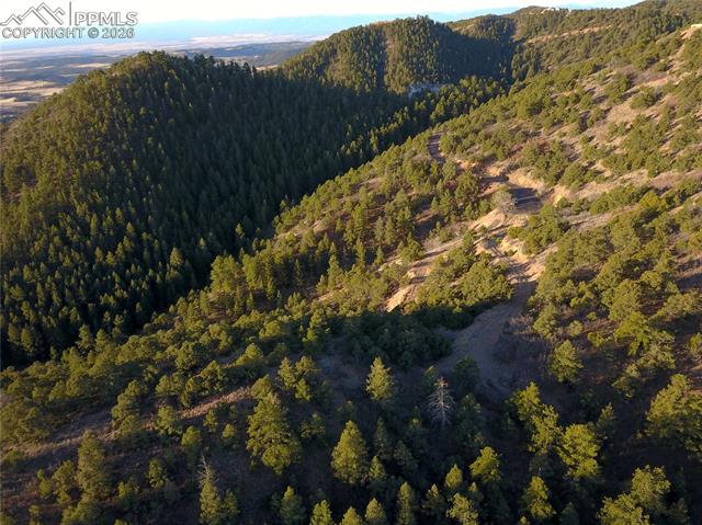 Photo 11 of 3735 Big Spruce Heights, Colorado Springs