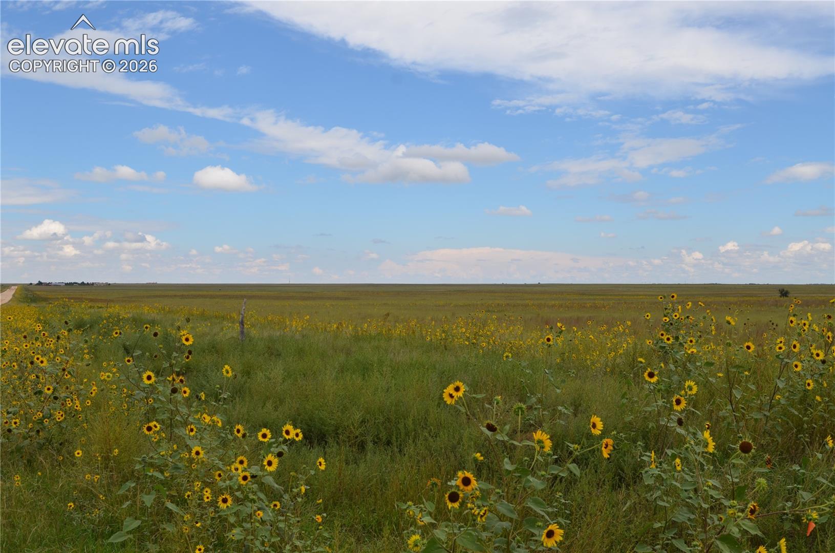 Expansive acreage featuring natural flora and open terrain