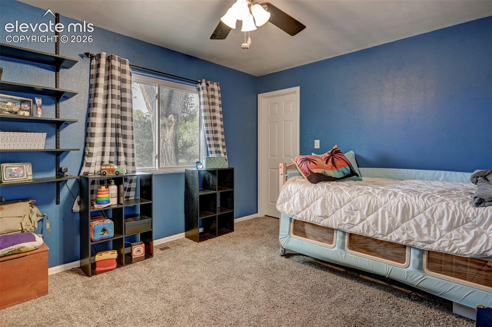 Carpeted room featuring a ceiling fan, window with natural light, and a paneled door