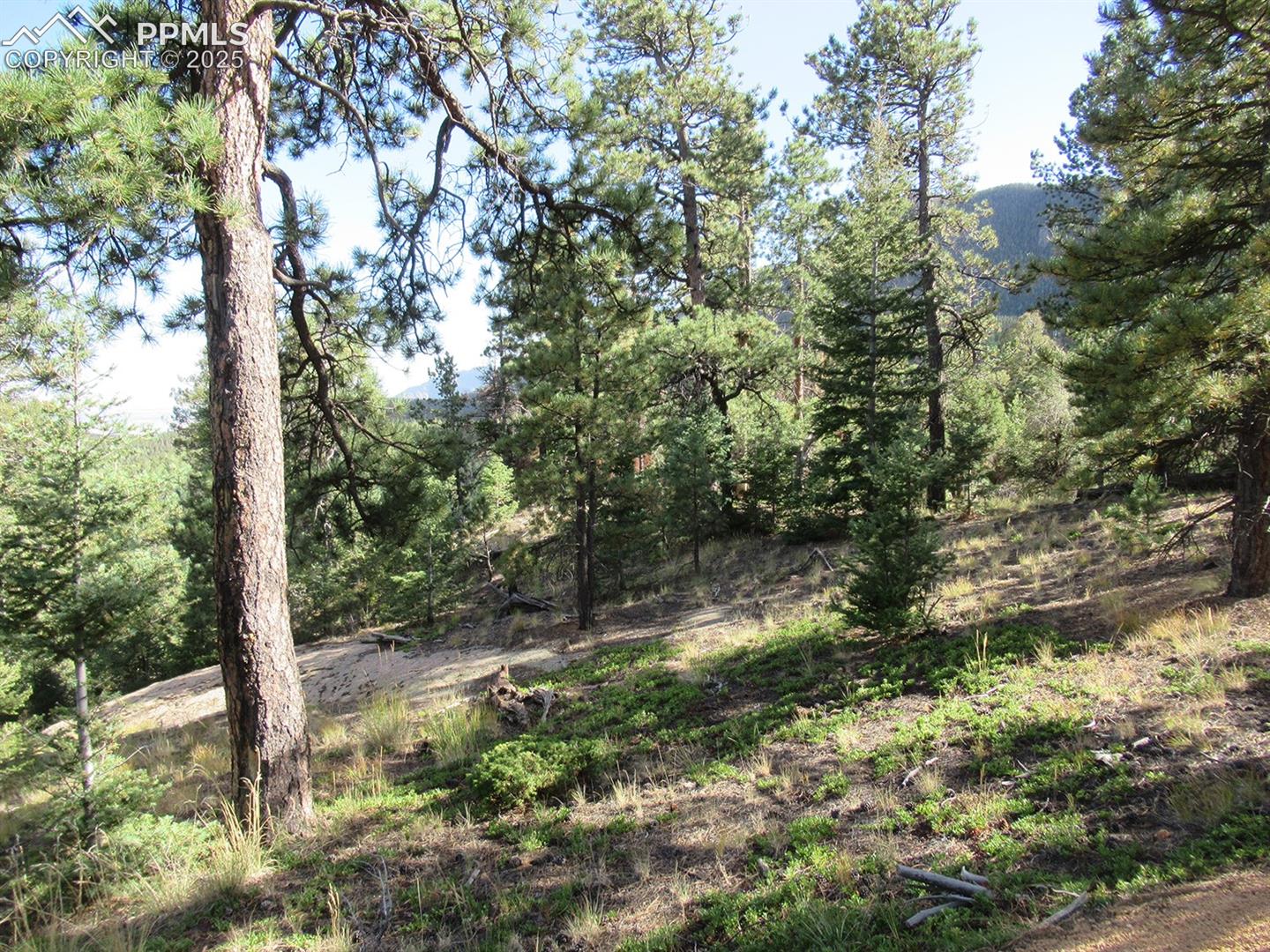 Photo 8 of 213 Coffee Pot Road, Manitou Springs