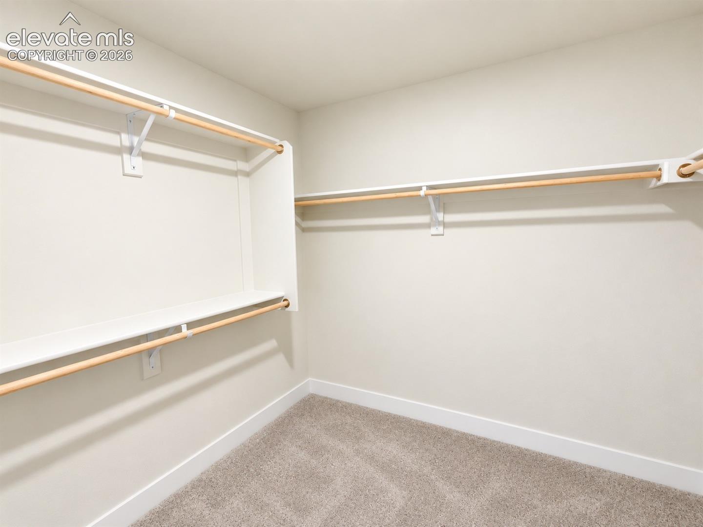 Built-in shelving, multiple hanging rods, and carpeting