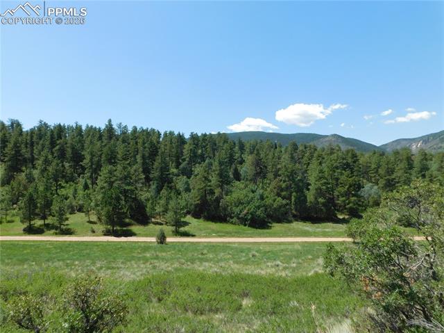 Photo 14 of 4668 Comanche Drive, Larkspur