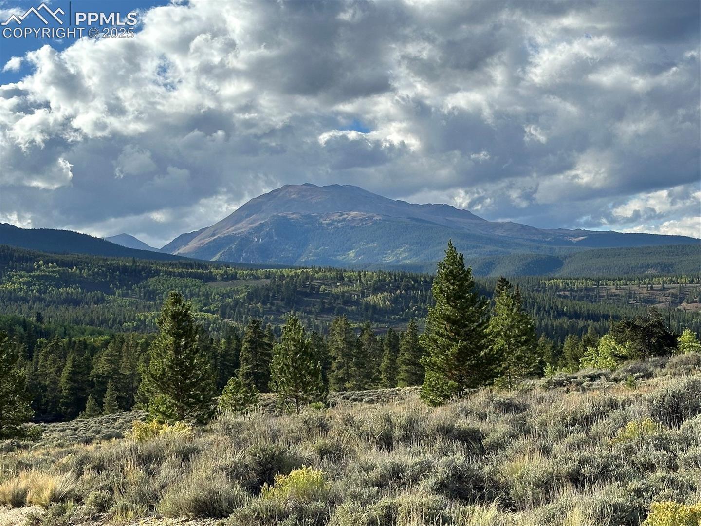 Photo 16 of 143 Fir Drive, Leadville