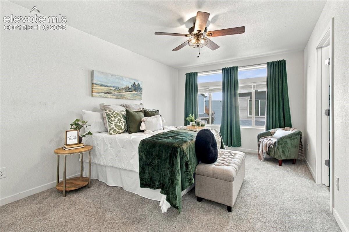 Recessed windows with natural light, ceiling fan with integrated lighting, wall-to-wall carpeting, and white painted walls