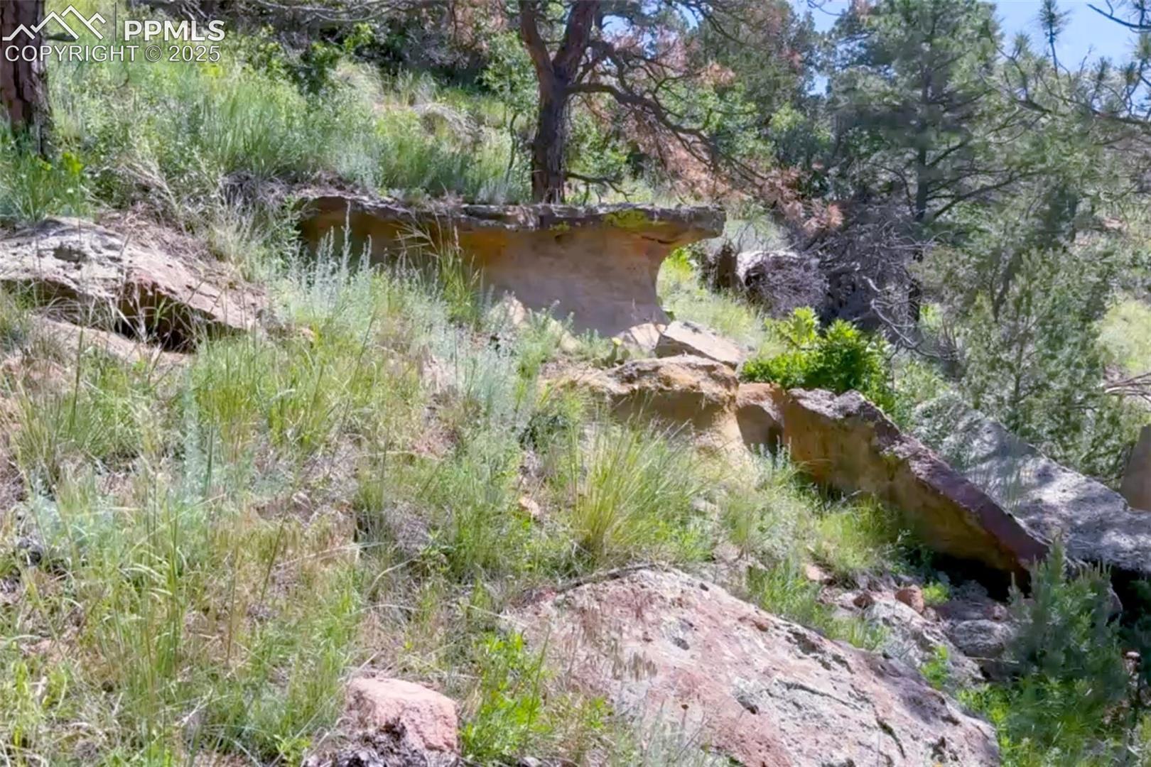 Photo 9 of 7137 Oak Valley Drive, Colorado Springs