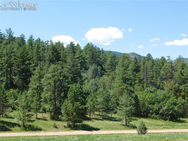 Photo 10 of 4668 Comanche Drive, Larkspur