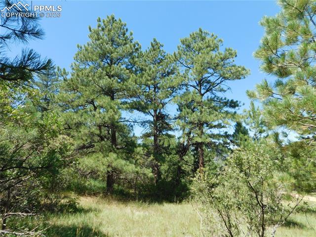 Photo 33 of 4668 Comanche Drive, Larkspur