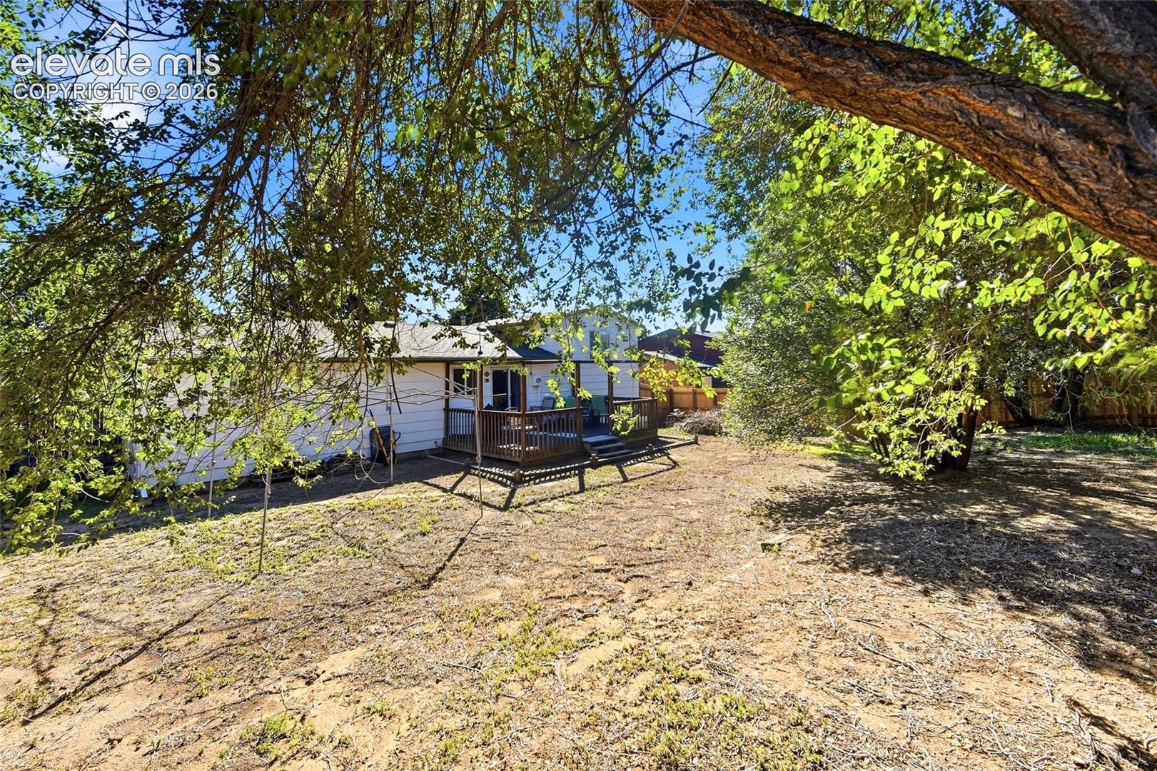 Rear yard facing house, mature trees
