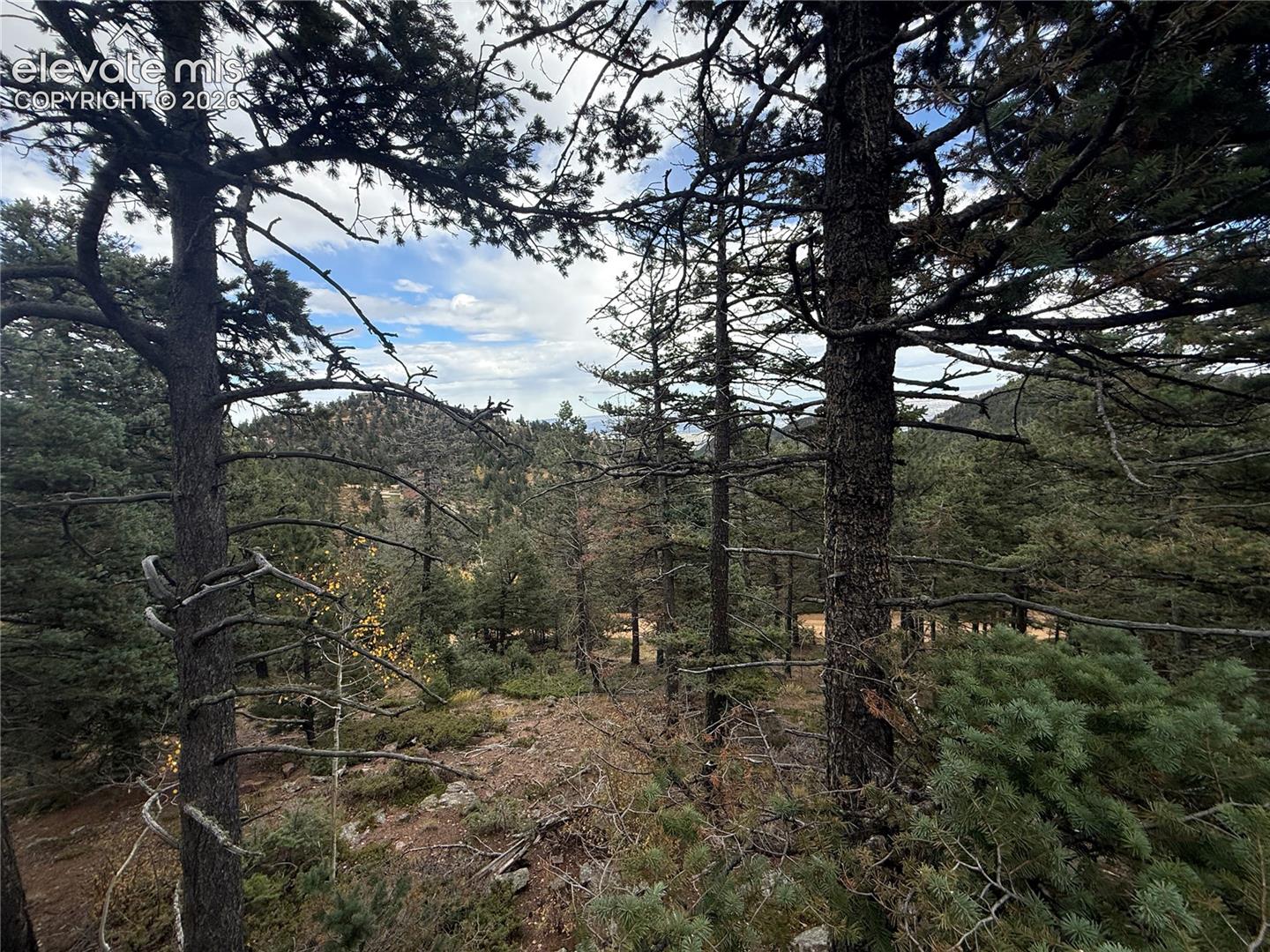 Views of the mountains from build site