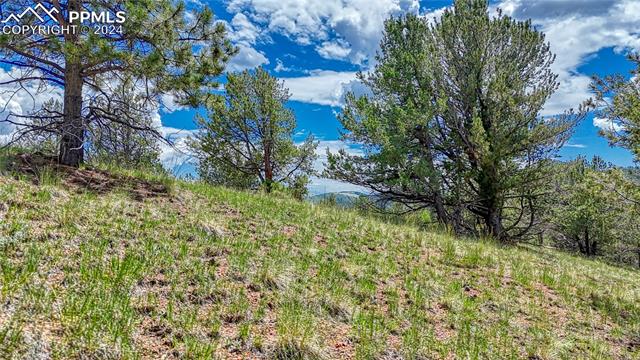 Photo 21 of 24 Wild Horse Circle, Cripple Creek