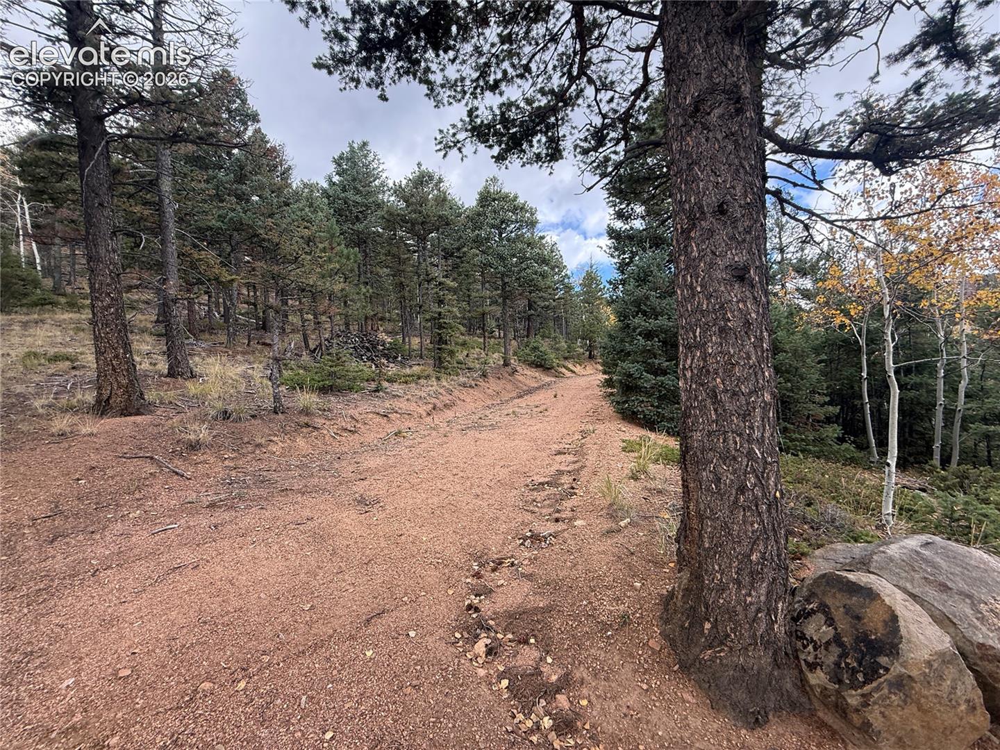 End of driveway 