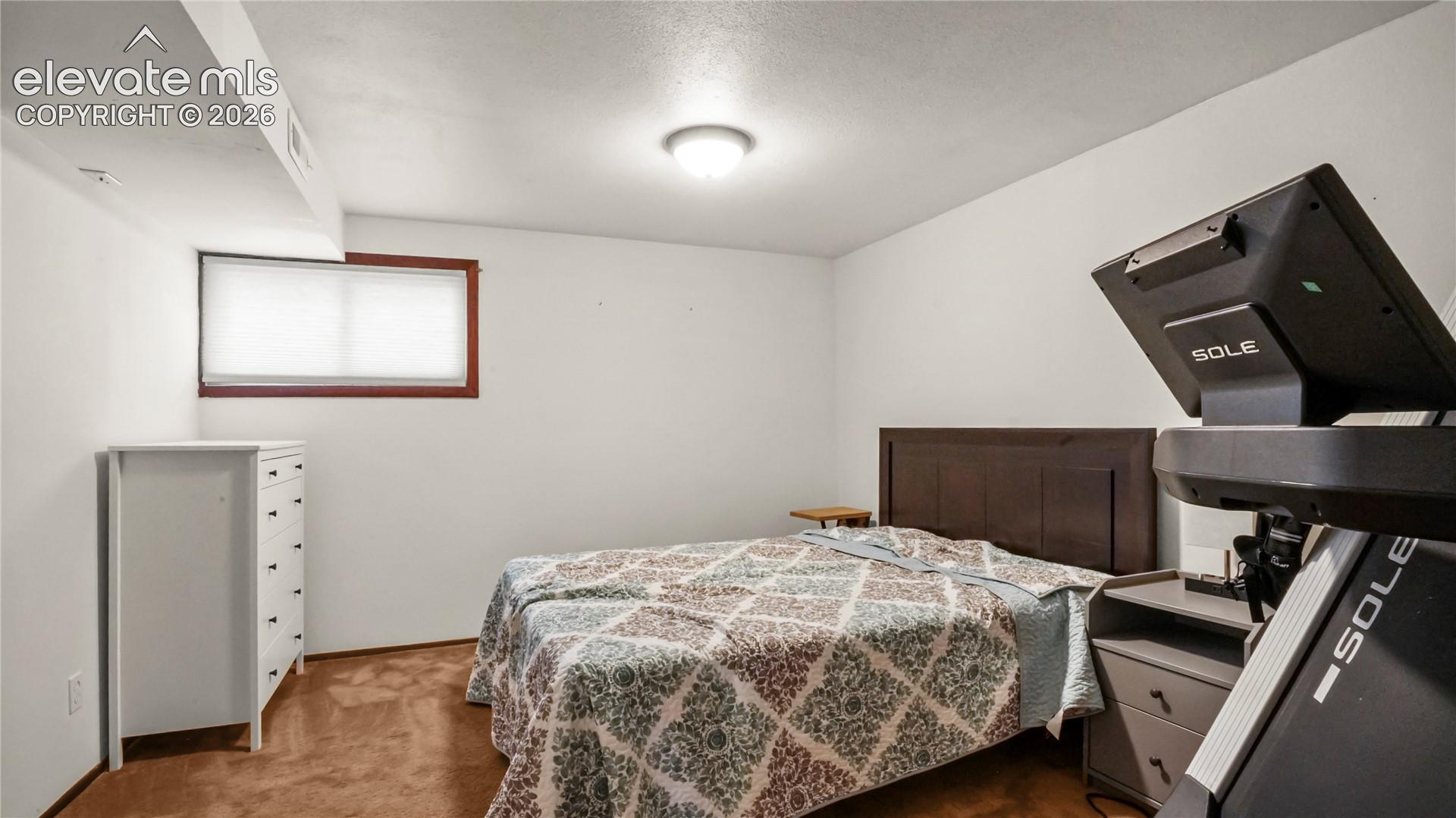 Bedroom ensuite basement in the basement, window with wood-finish trim, overhead flush-mount lighting, and light-colored walls, carpet