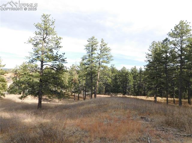 Photo 16 of 8055 Acoma Drive, Larkspur