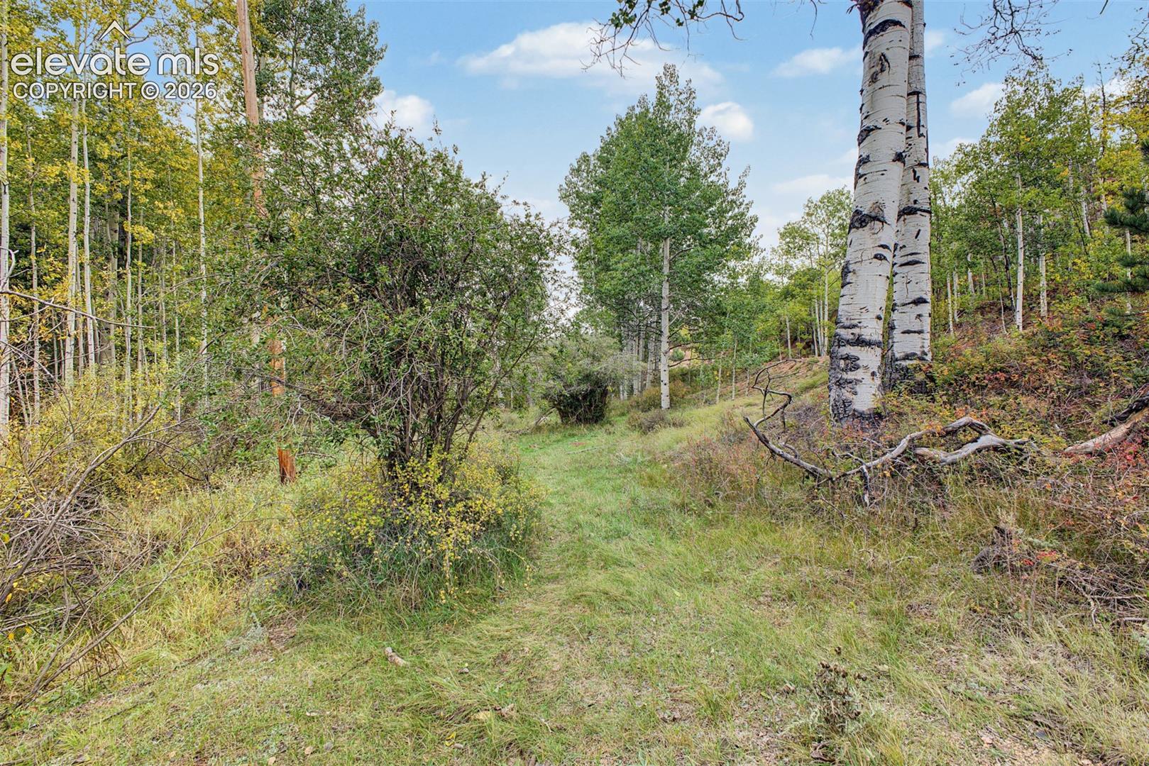 Photo 38 of 1034 Little Topsey Drive, Cripple Creek