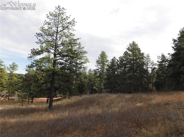 Photo 15 of 8055 Acoma Drive, Larkspur