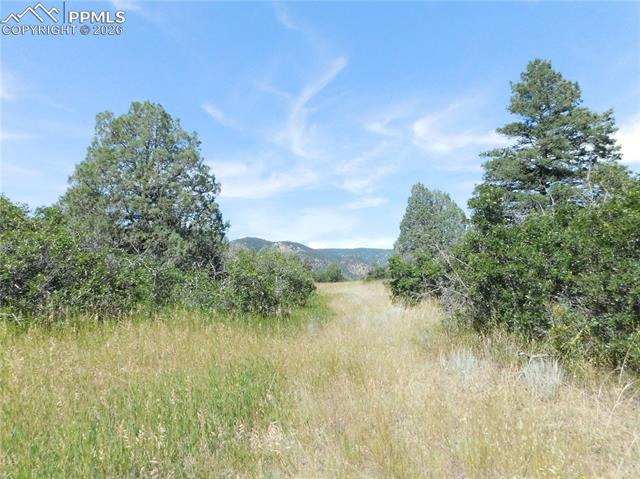 Photo 41 of 5967 Country Club Drive, Larkspur