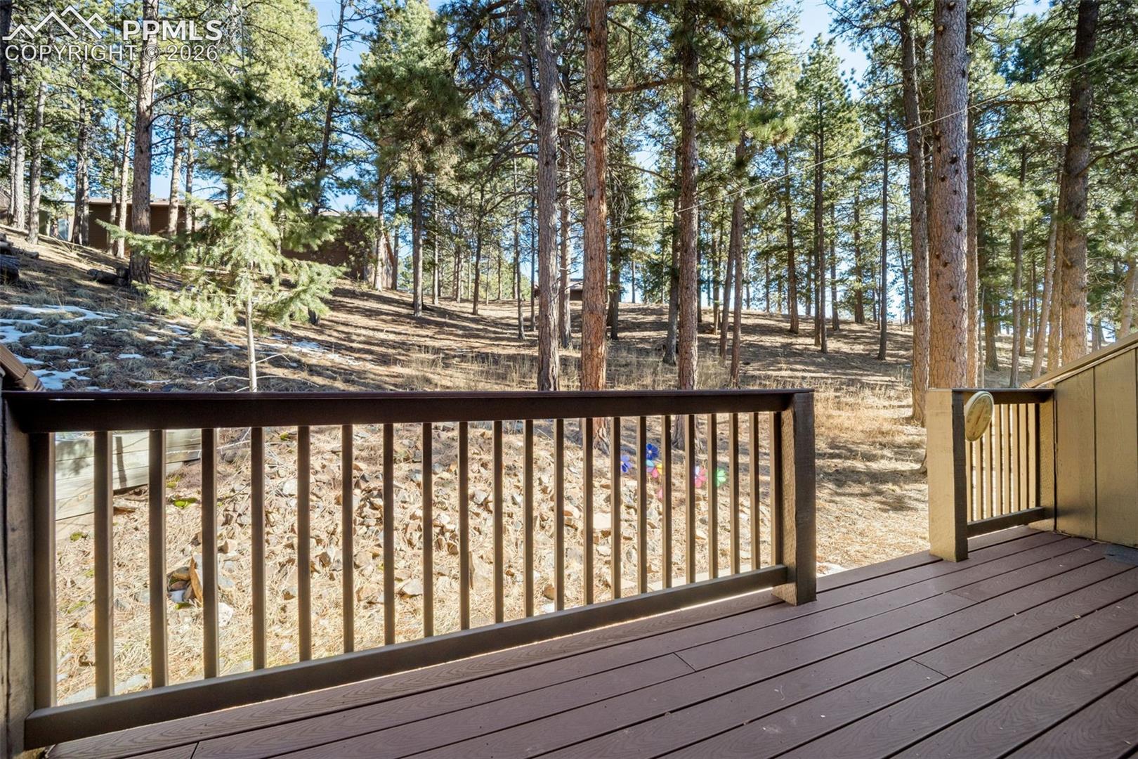 Photo 25 of 554 Manor Court #C, Woodland Park