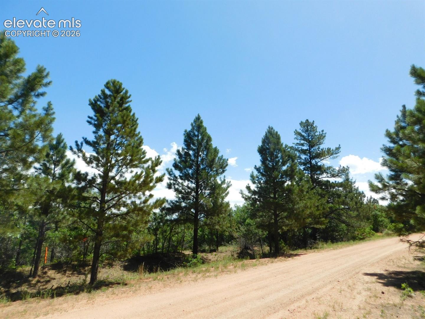 Photo 15 of 6447 Thunderbird Road, Larkspur