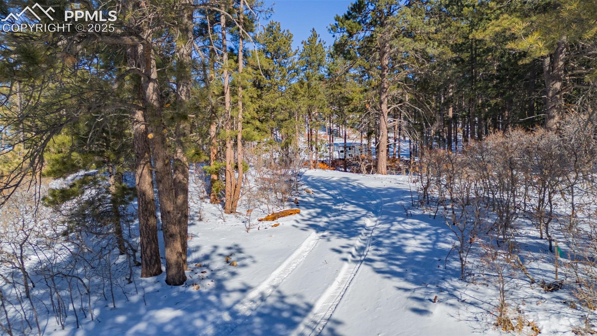 Photo 17 of 14420 S Perry Park Road, Larkspur