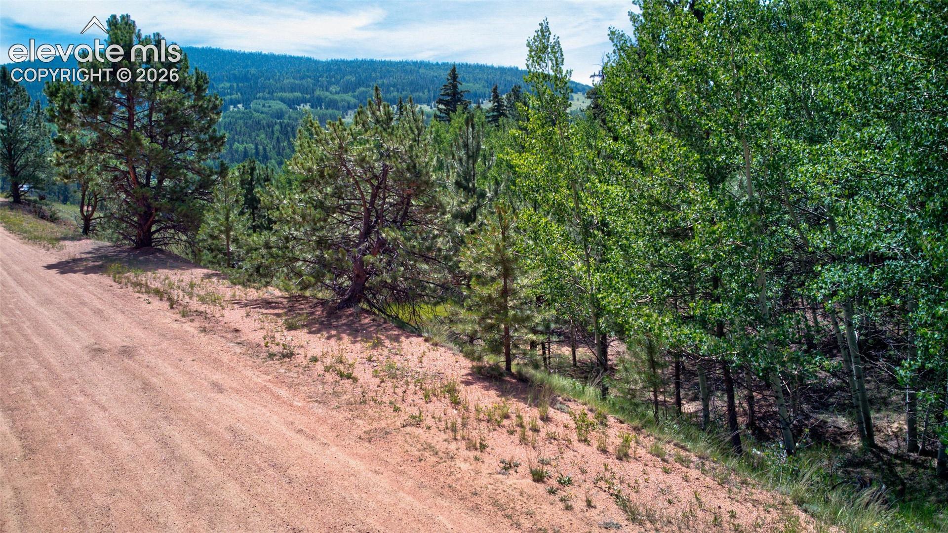 Photo 16 of 158 Rattler Court, Cripple Creek