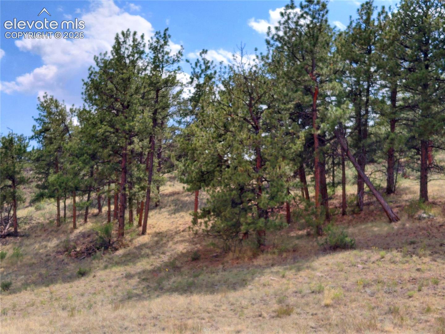 Photo 14 of Tract 70 Owls Nest Road, Guffey