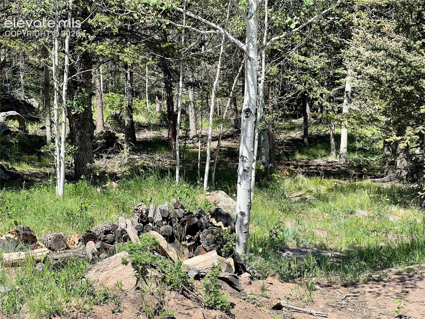 Wooded parcel featuring mature trees, natural ground cover, and exposed rock formations