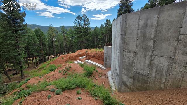370 Summer Haven Dr, Woodland Park, CO 80863