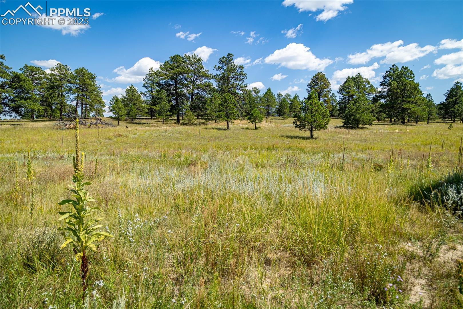 16759 Winsome Way, Colorado Springs, CO 80908