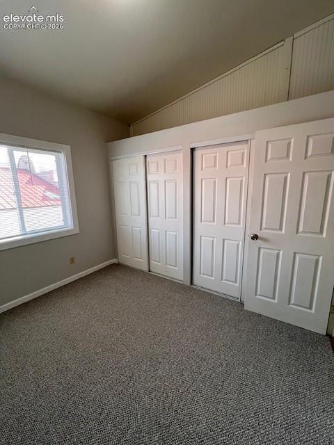 Vaulted ceilings, neutral carpeting, and multiple sets of six-panel closet doors providing extensive storage