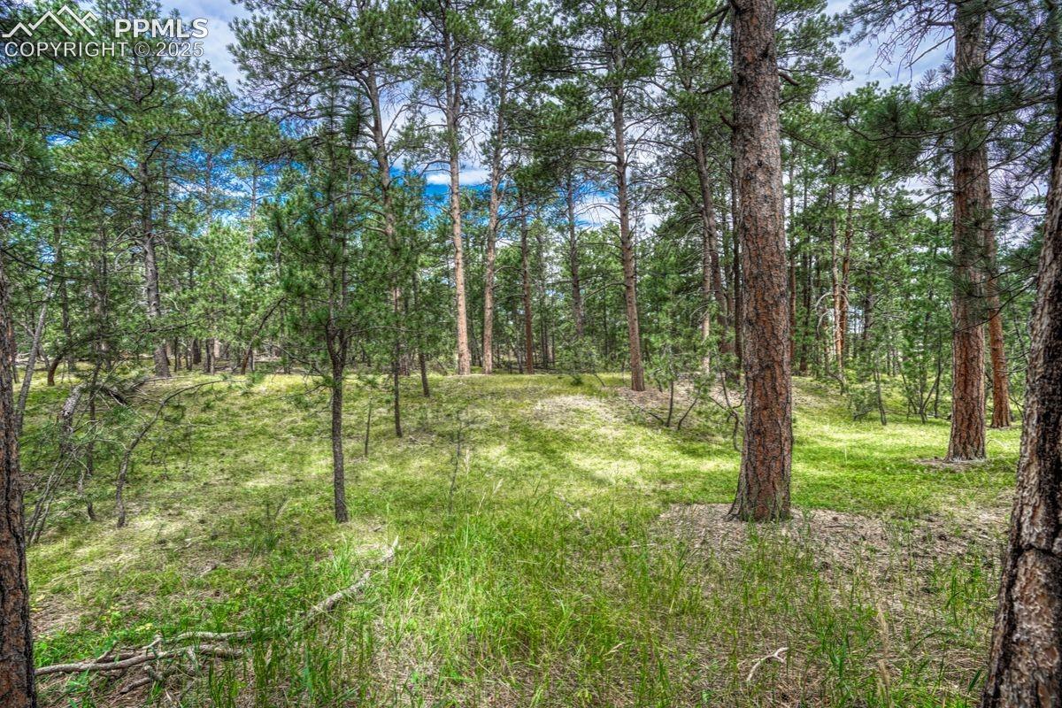 Photo 26 of 00 Club Drive, Colorado Springs