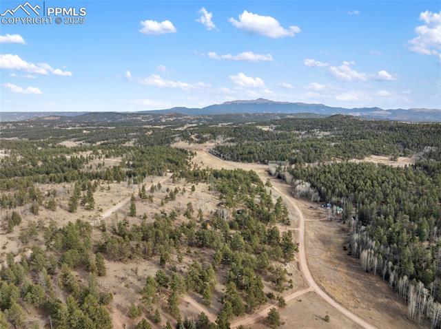 Bird's eye view of a mountain backdrop and a forest