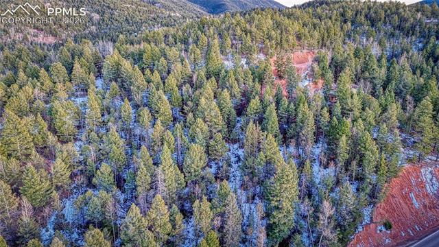 Photo 22 of 959 Calcite Drive, Divide