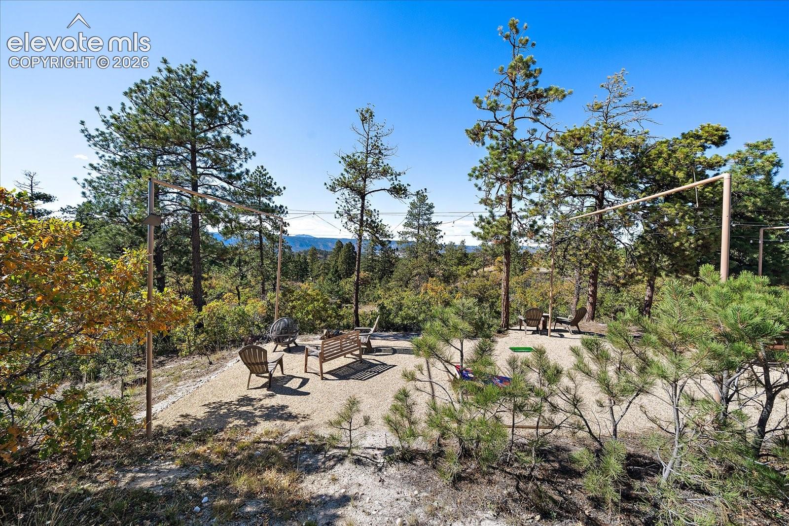 Gravel patio area featuring suspended overhead string lighting and surrounding mature pine trees